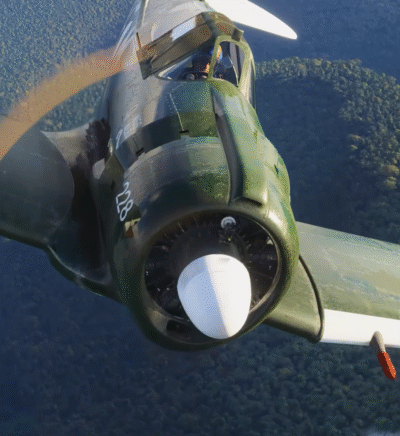 CAC Boomerang Local Legend no Microsoft Flight Simulator