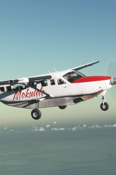 Black Square Caravan Professional no Microsoft Flight Simulator