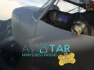 Man’s Best Friend Deluxe da Got Friends com cão no cockpit