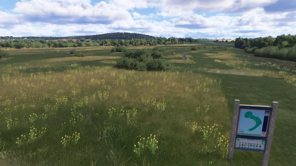 Detalhes de solo e vegetação do Airfield Detmold no MSFS 2024