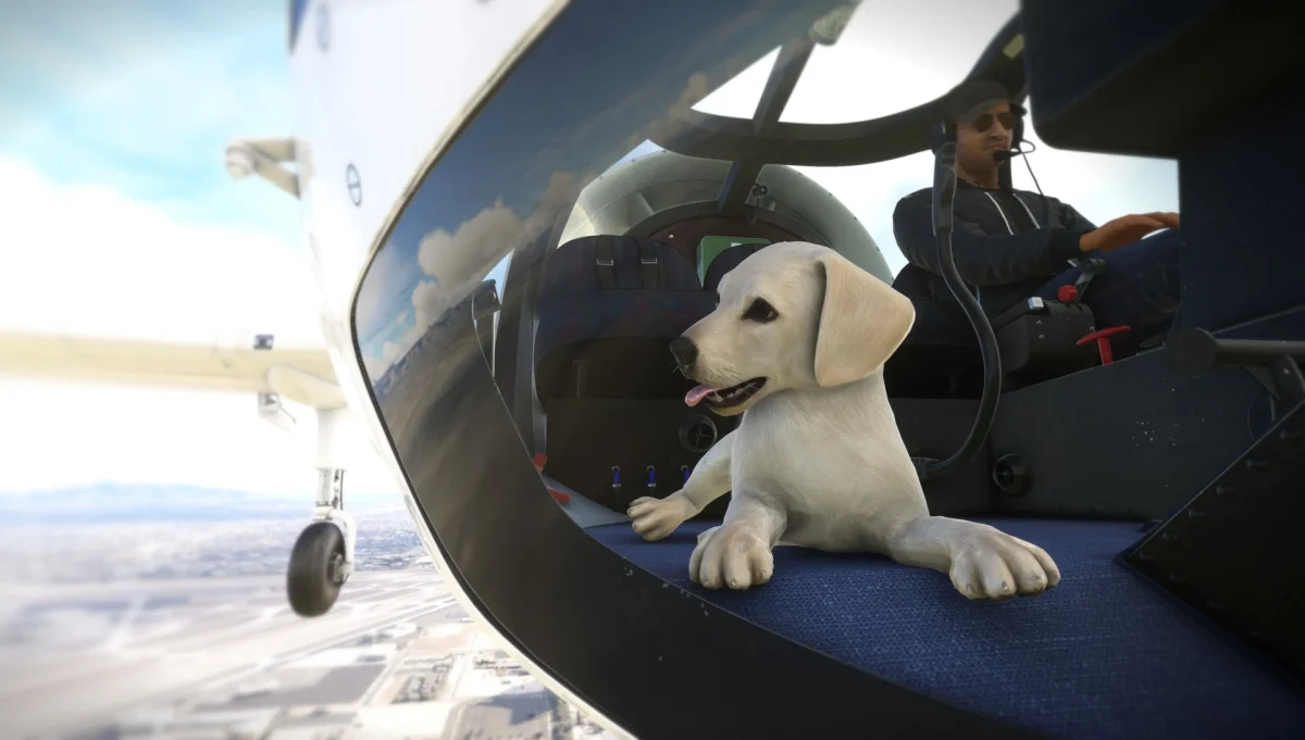Cão labrador no cockpit no Man’s Best Friend Deluxe para Microsoft Flight Simulator