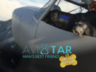 Man’s Best Friend Deluxe com cão copiloto em aeronave