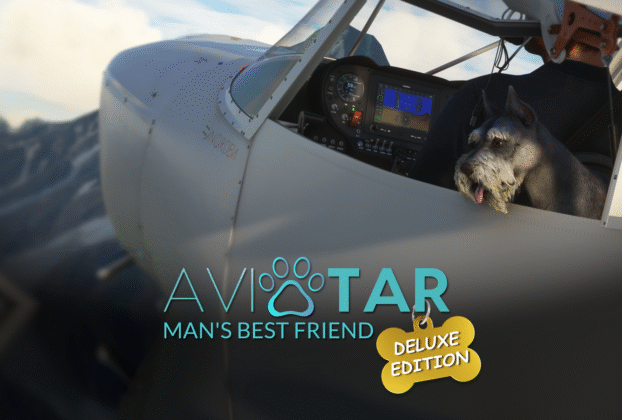 Man’s Best Friend Deluxe com cão copiloto em aeronave
