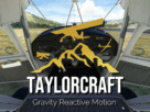 Taylorcraft BC-12D da Got Friends com recurso Gravity Reactive Motion no MSFS 2024