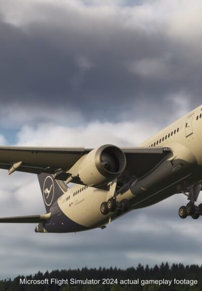 Vector 787-9 em voo durante fase Alpha para Microsoft Flight Simulator 2024