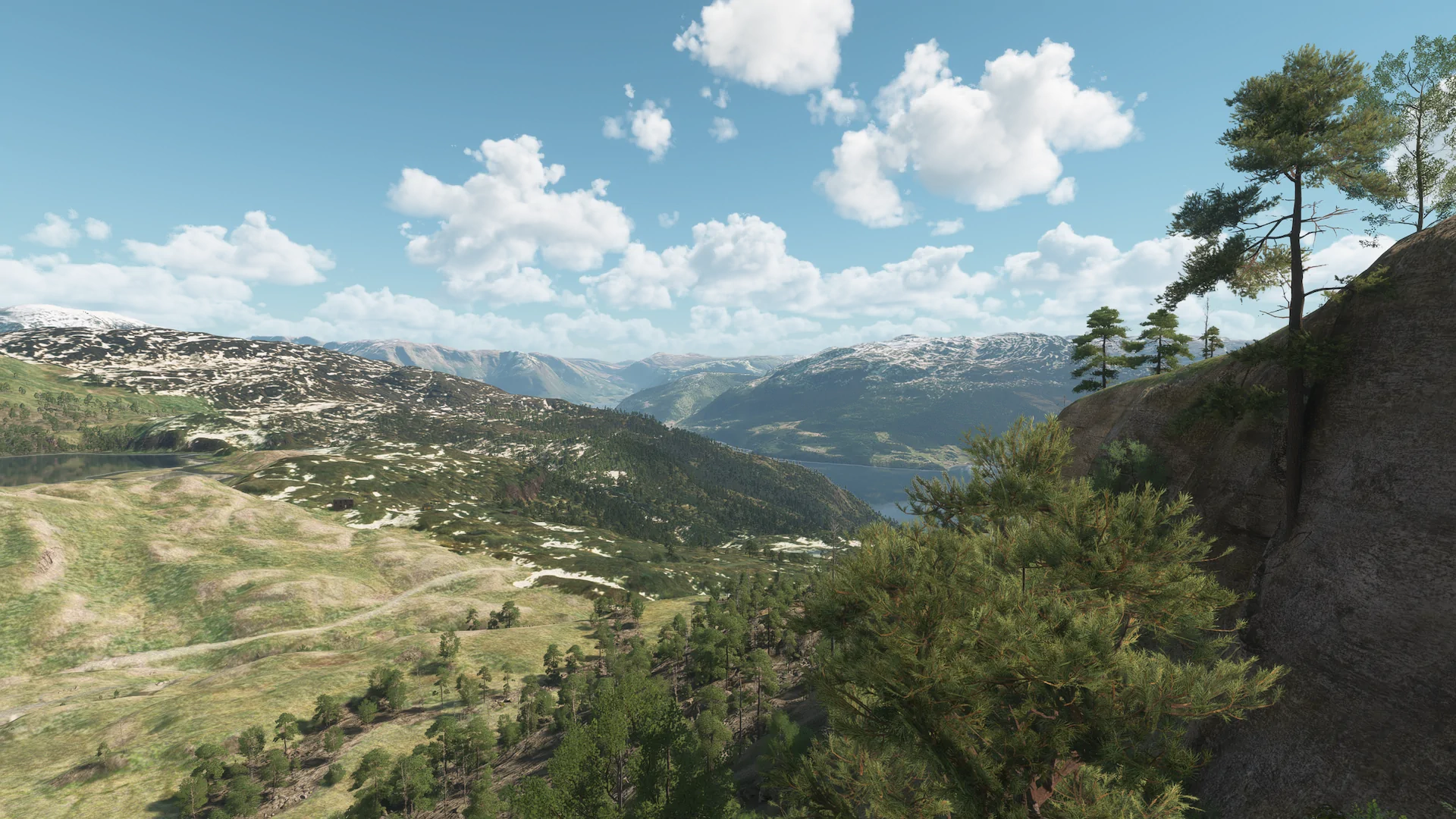 Enhanced Global Vegetation no Microsoft Flight Simulator 2024
